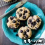 Ultimate Vegan and Gluten-Free Blueberry Muffins 9 Delicious vegan and gluten-free blueberry muffin recipe card image