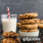 Cranberry Chocolate Chip Bliss 10 Flourless Cranberry Chocolate Chip Cookies by Flora & Vino