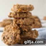Wholesome Quinoa Carrot Cake Breakfast Cookies 11 img 1894 10