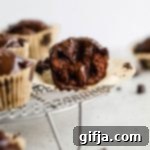 Molten Chocolate Ganache Muffins 9 Delicious Vegan & Gluten-Free Chocolate Lava Muffins