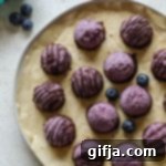Decadent Dark Chocolate Blueberry Macarons 12 Thumbnail of Dark Chocolate Blueberry Macaroons, a delicious vegan dessert