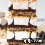 Rich Dark Chocolate Smores Bars 10 img 24731 9