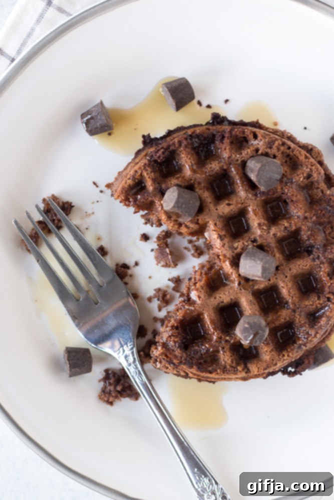 Primal Pleasure: Chocolate Chip Waffles 18 Paleo Chocolate Chip Waffles by Flora & Vino