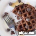 Primal Pleasure: Chocolate Chip Waffles 8 img 24981 7