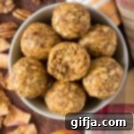 Fall Harvest Bliss Bites 11 Delicious Pumpkin Apple Bliss Balls, a perfect vegan and gluten-free fall snack