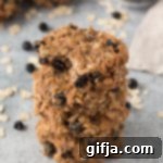 Wholesome Blueberry Almond Protein Delights 11 Blueberry Almond Protein Cookies stacked on a white plate