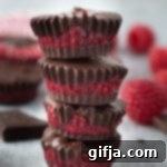 Chocolate Dipped Raspberry Chia Delights 14 img 26799 13