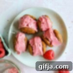 Refreshing Vegan Raspberry Sorbet 9 img 27617 8