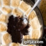 Vegan S'mores Dip 12 img 28075 11