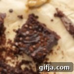 Fudgy Sweet Potato SunButter Brownies 10 Sweet Potato SunButter Brownies recipe card image