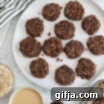 No-Bake Choc-Tahini Bliss Bites 12 Delicious Chocolate Tahini No-Bake Cookies