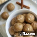 Snickerdoodle Oat Delights 13 img 30163 12
