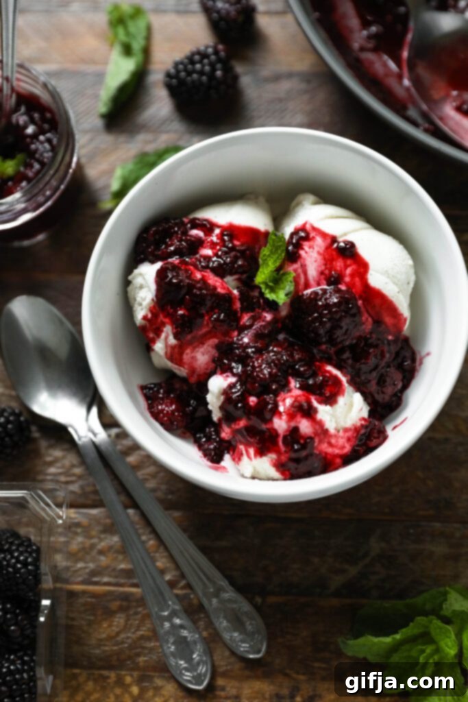 Blackberry Bliss Vegan Sundae 52 Vegan Blackberry Sundae by Flora & Vino