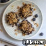 Trending Chocolate Blueberry Yogurt Clusters 9 Viral Chocolate Blueberry Yogurt Bites