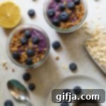 Overnight Blueberry Protein Power 10 img 32101 9