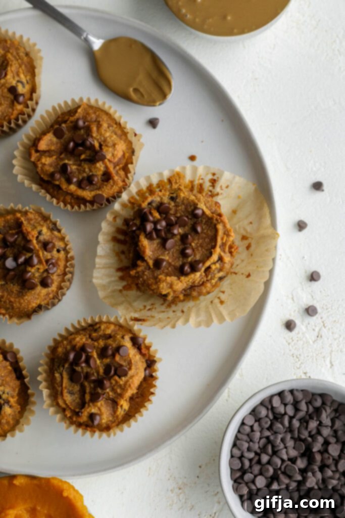 Super Moist Vegan Gluten-Free Pumpkin SunButter Chocolate Chip Muffins on a plate, surrounded by scattered chocolate chips, beautifully captured by Flora & Vino