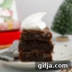 Spiced SunButter Gingerbread Bars 12 img 33200 11