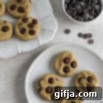 Grab-and-Go Chocolate Chip Delights 11 A close-up of a single Chocolate Chip Snack Cookie, perfectly baked with visible dark chocolate chips, placed on a light background.