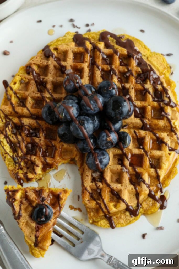 A close-up shot of Pumpkin Turmeric Waffles, elegantly plated with fresh blueberries, scattered cacao nibs, and a delicate chocolate drizzle