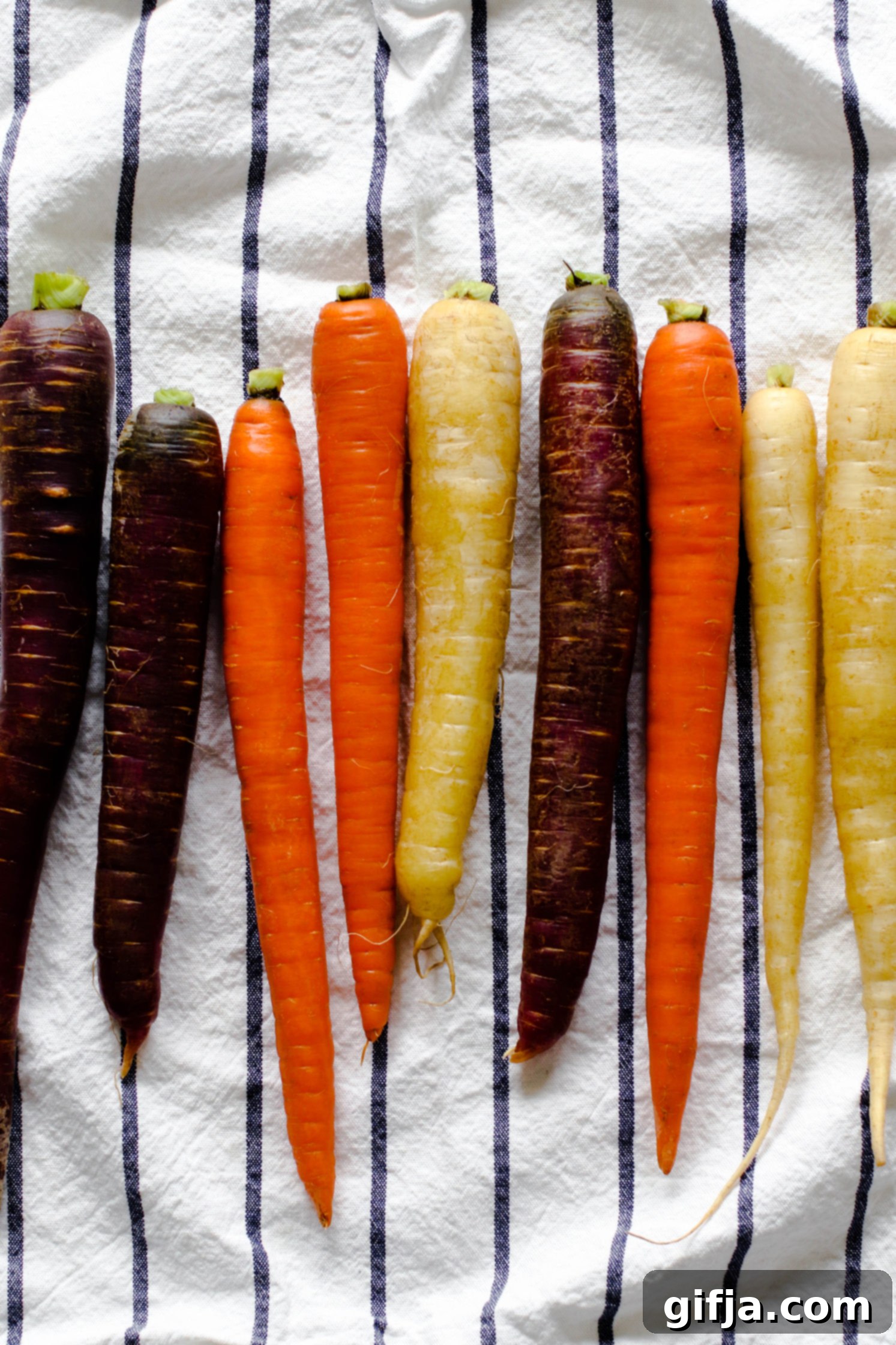 Vibrant Roasted Carrots 4 rinsed rainbow carrot on blue and white striped towel
