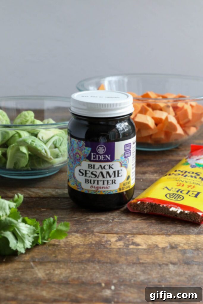 Midnight Sesame Noodle Bowl 3 Black Sesame Butter with soba noodles, fresh cilantro, roasted brussels sprouts, and diced sweet potato, showcasing a rich and inviting color palette.